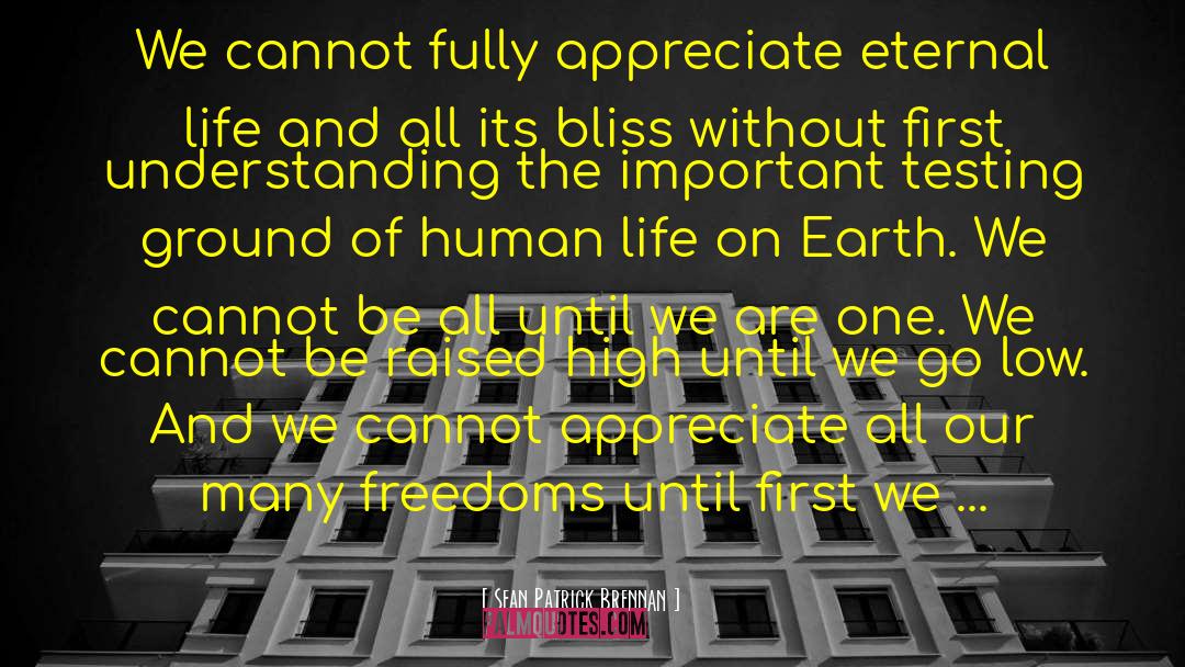 Sean Patrick Brennan Quotes: We cannot fully appreciate eternal