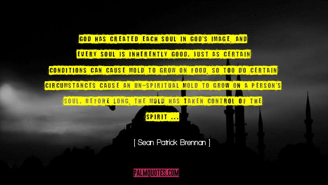 Sean Patrick Brennan Quotes: God has created each soul