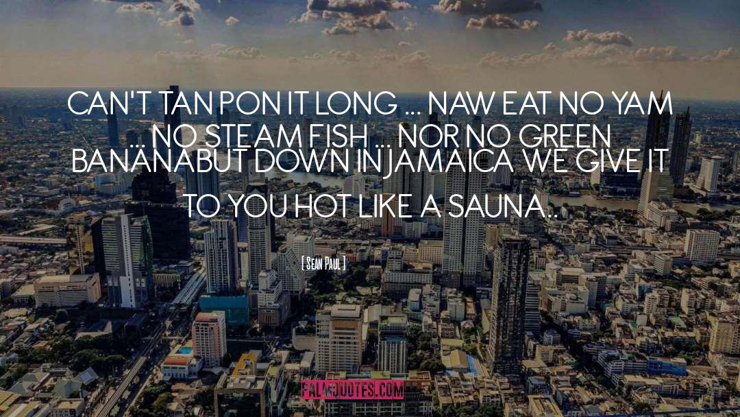 Sean Paul Quotes: CAN'T TAN PON IT LONG