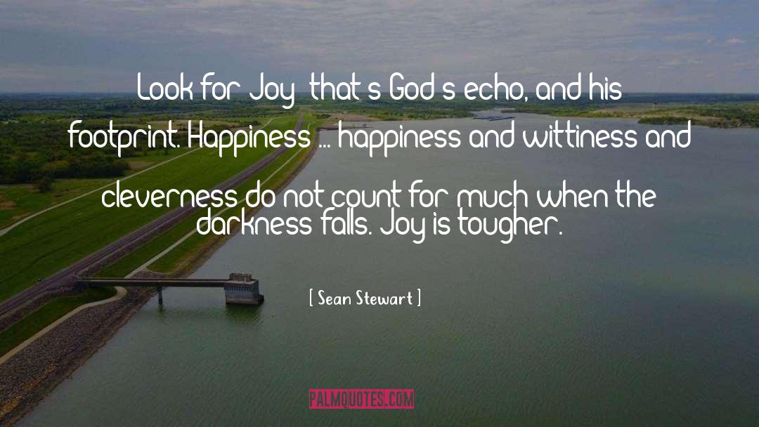 Sean Stewart Quotes: Look for Joy: that's God's