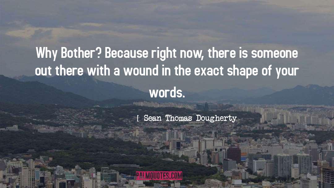 Sean Thomas Dougherty Quotes: Why Bother? Because right now,