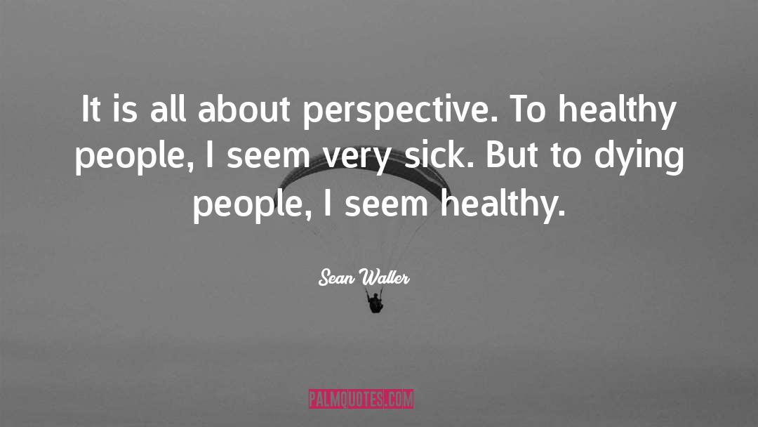 Sean Waller Quotes: It is all about perspective.