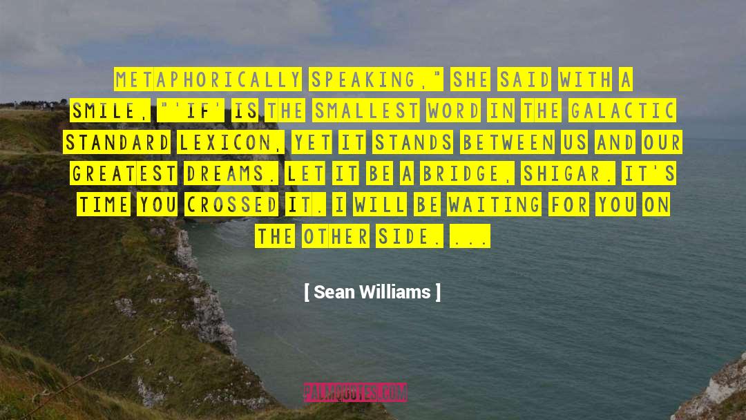 Sean Williams Quotes: Metaphorically speaking,