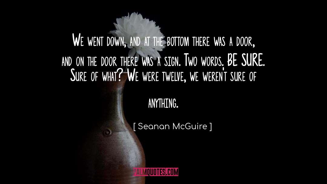 Seanan McGuire Quotes: We went down, and at