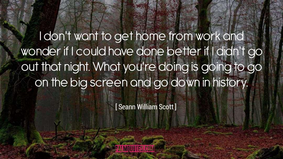 Seann William Scott Quotes: I don't want to get