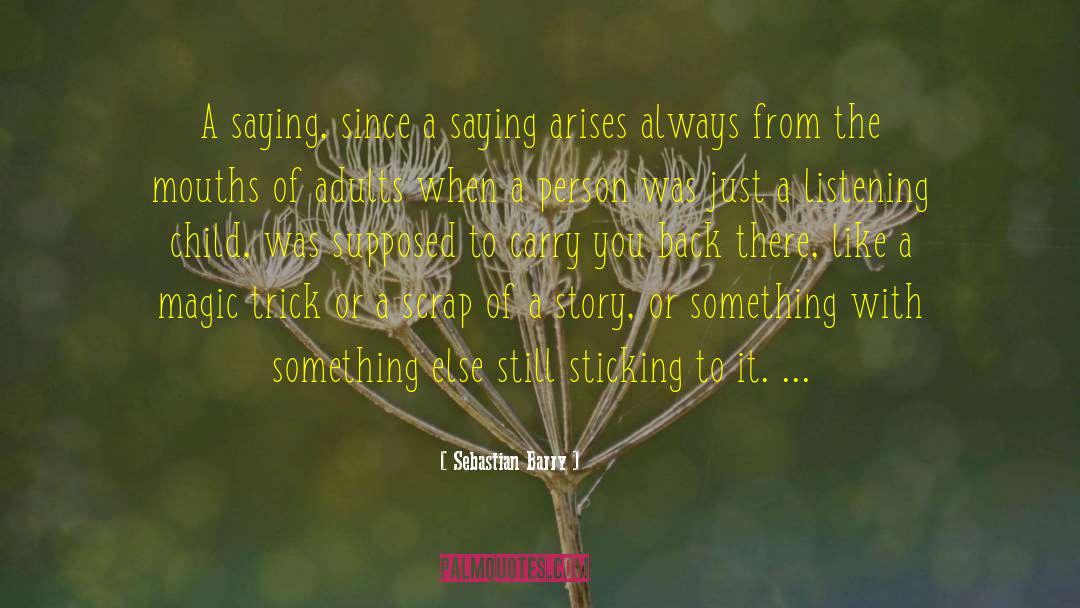 Sebastian Barry Quotes: A saying, since a saying