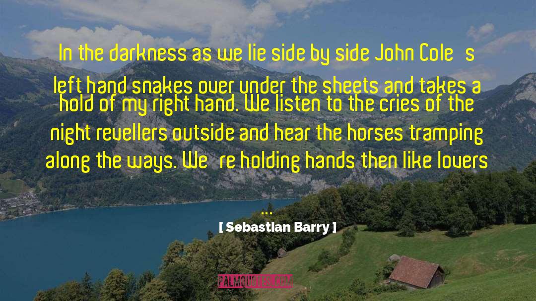 Sebastian Barry Quotes: In the darkness as we