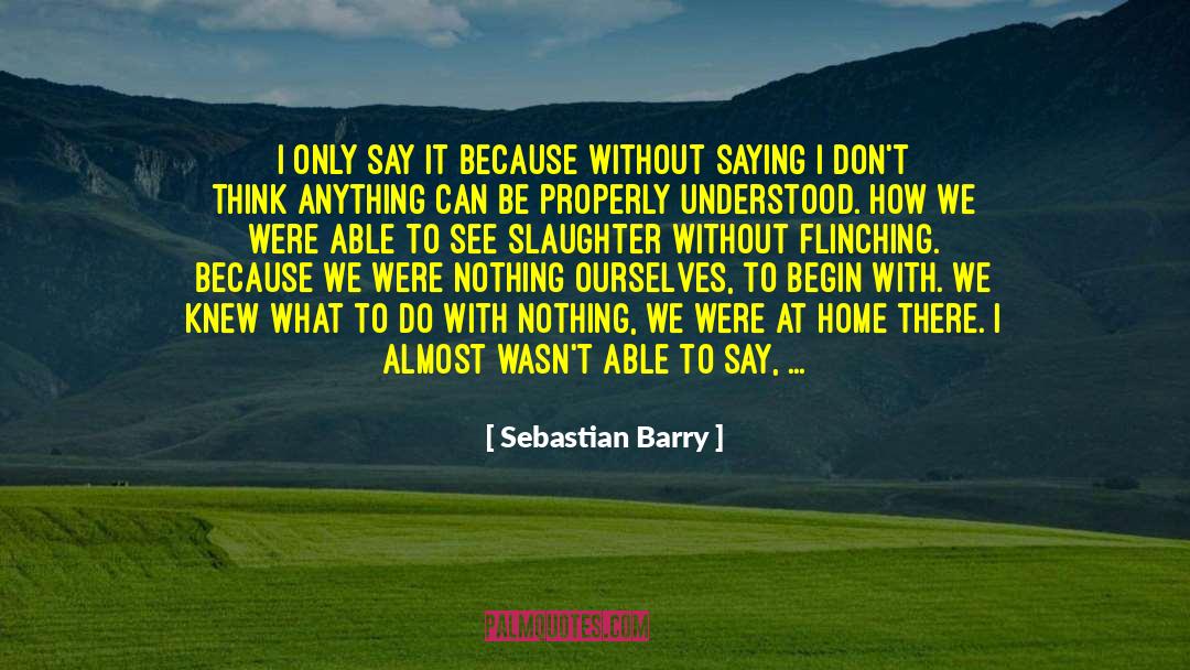 Sebastian Barry Quotes: I only say it because