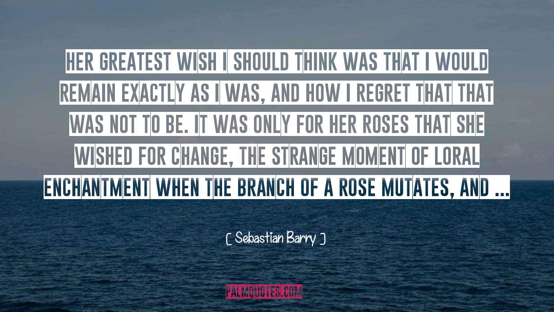 Sebastian Barry Quotes: Her greatest wish I should