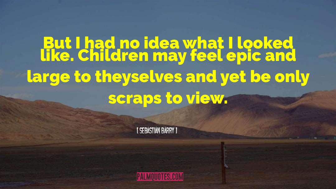 Sebastian Barry Quotes: But I had no idea