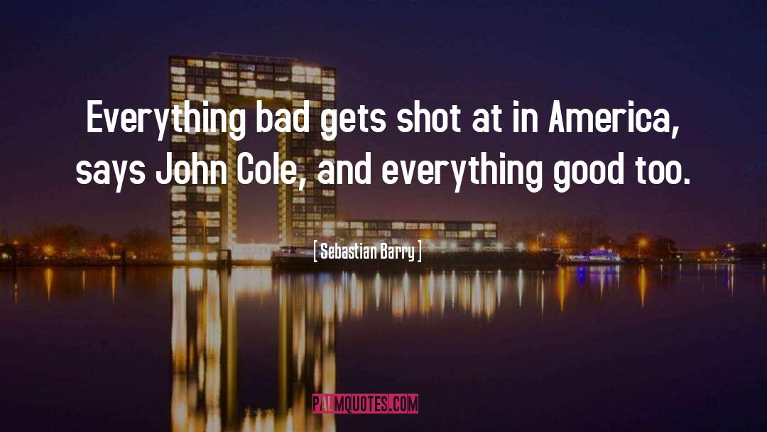 Sebastian Barry Quotes: Everything bad gets shot at