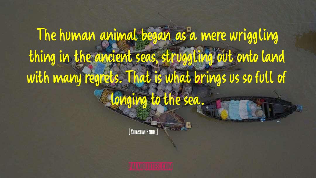 Sebastian Barry Quotes: The human animal began as