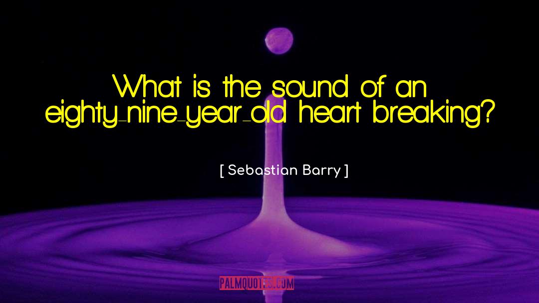 Sebastian Barry Quotes: What is the sound of