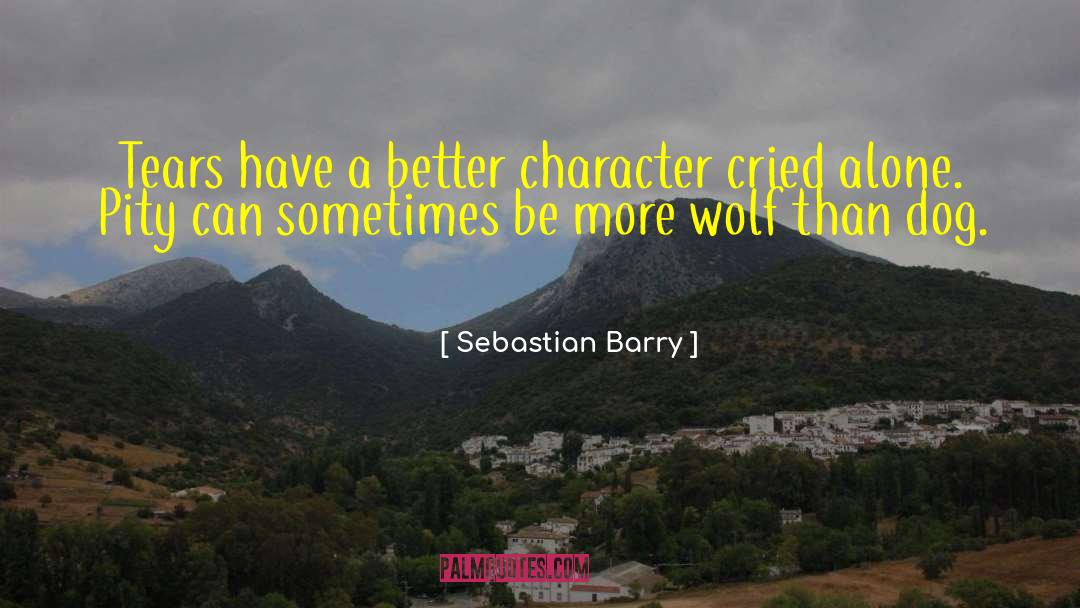 Sebastian Barry Quotes: Tears have a better character