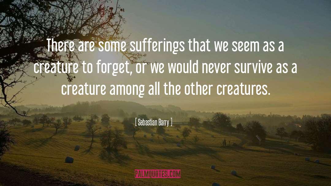 Sebastian Barry Quotes: There are some sufferings that