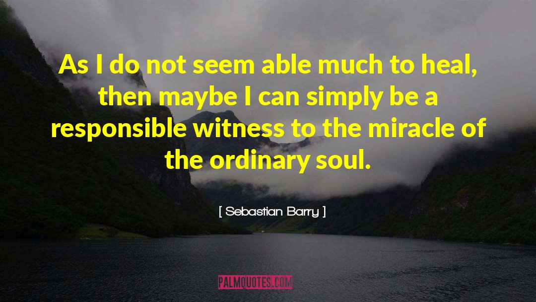 Sebastian Barry Quotes: As I do not seem