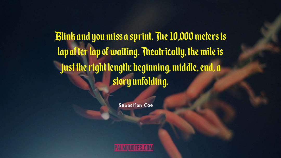 Sebastian Coe Quotes: Blink and you miss a