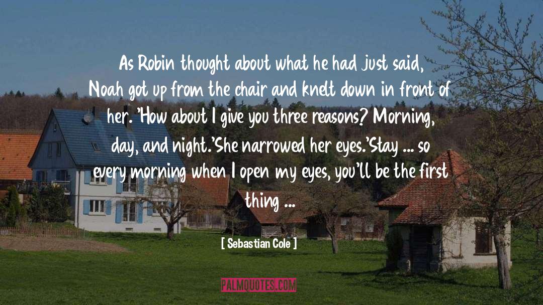 Sebastian Cole Quotes: As Robin thought about what