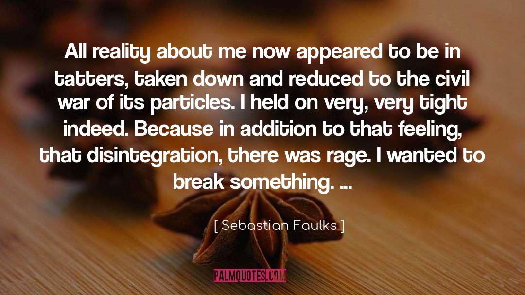Sebastian Faulks Quotes: All reality about me now