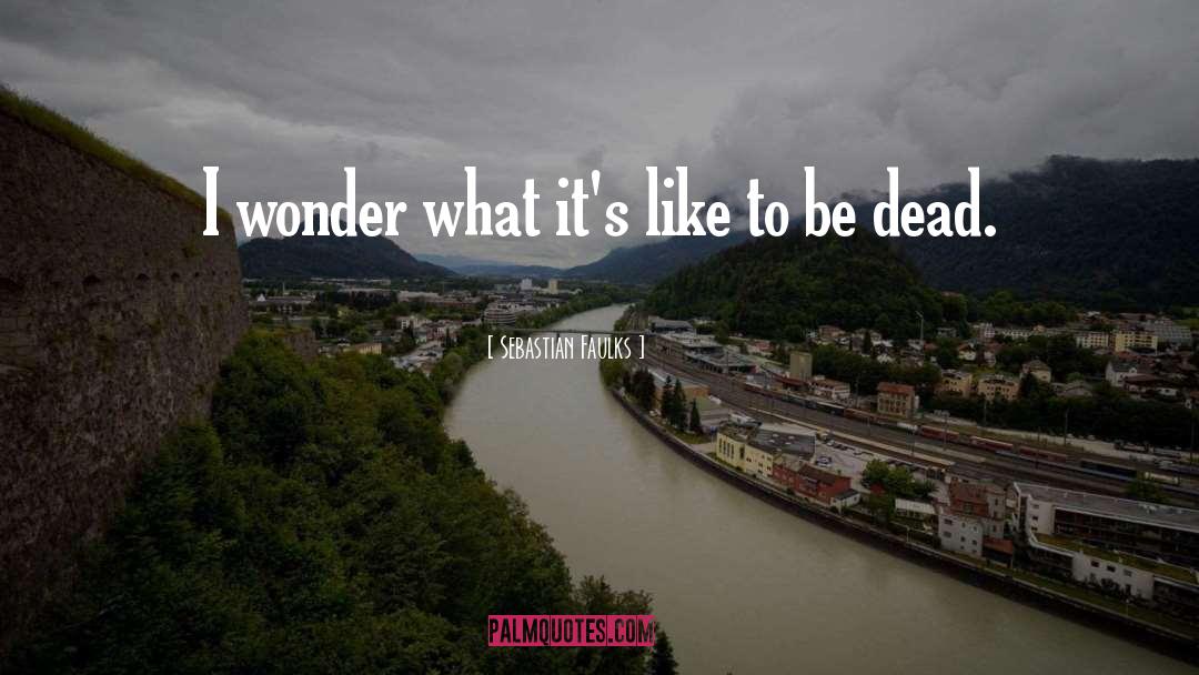 Sebastian Faulks Quotes: I wonder what it's like