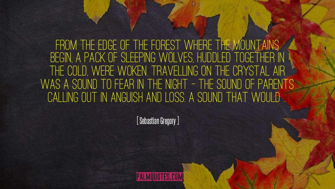 Sebastian Gregory Quotes: From the edge of the