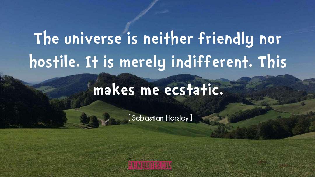 Sebastian Horsley Quotes: The universe is neither friendly