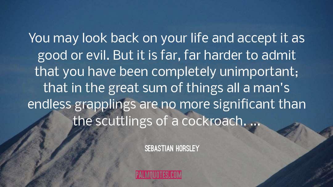 Sebastian Horsley Quotes: You may look back on