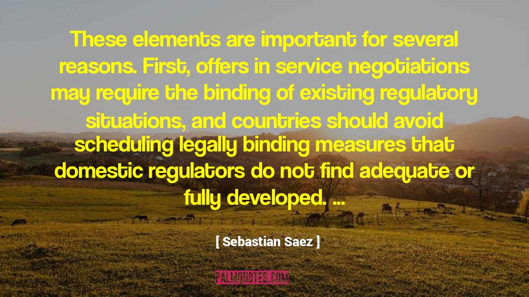 Sebastian Saez Quotes: These elements are important for