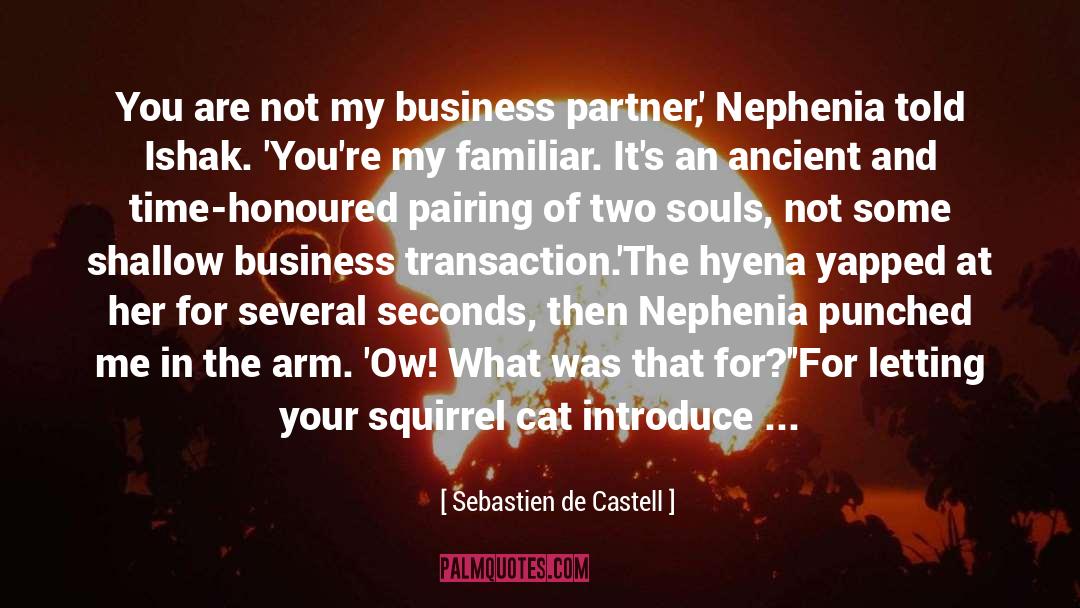 Sebastien De Castell Quotes: You are not my business