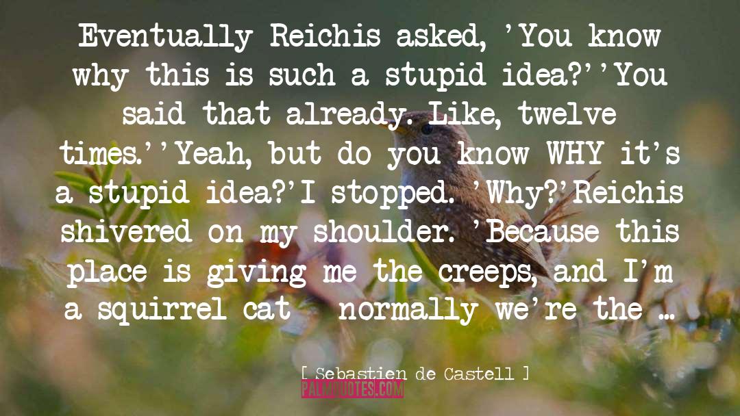 Sebastien De Castell Quotes: Eventually Reichis asked, 'You know