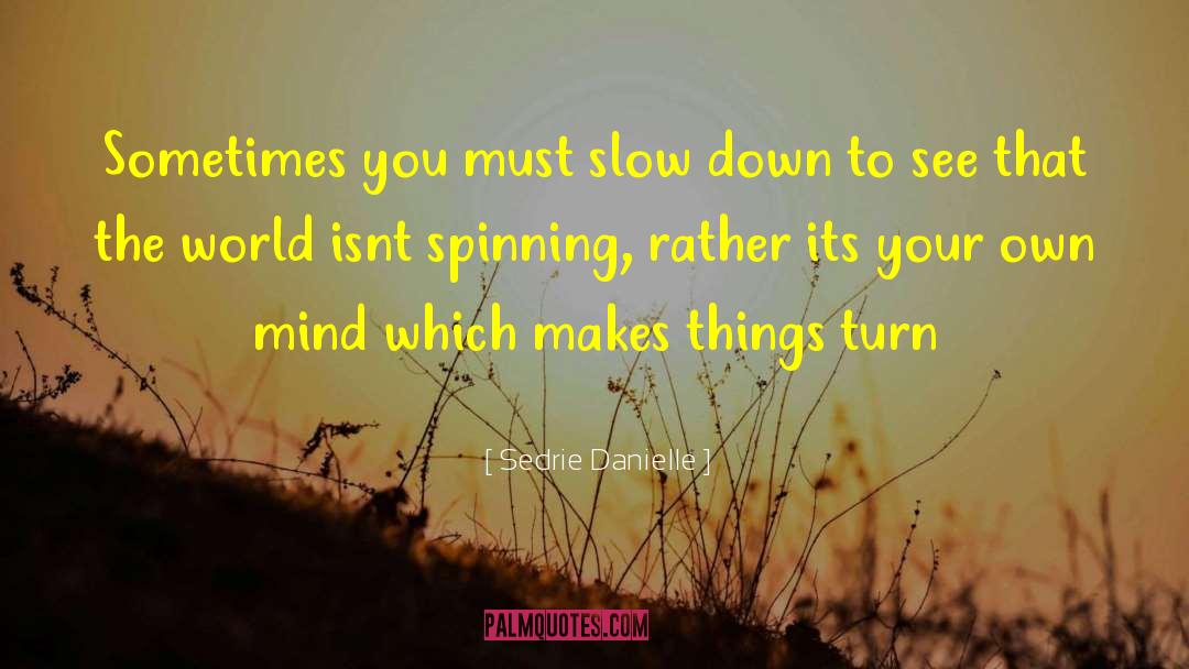 Sedrie Danielle Quotes: Sometimes you must slow down