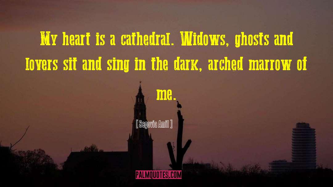 Segovia Amil Quotes: My heart is a cathedral.