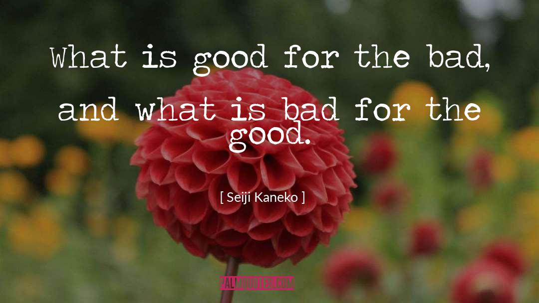 Seiji Kaneko Quotes: What is good for the