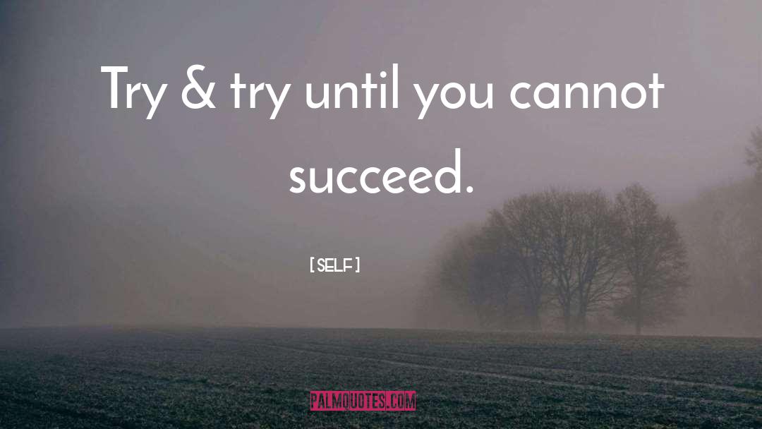 Self Quotes: Try & try until you