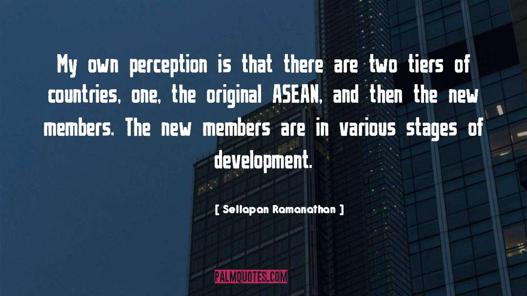 Sellapan Ramanathan Quotes: My own perception is that