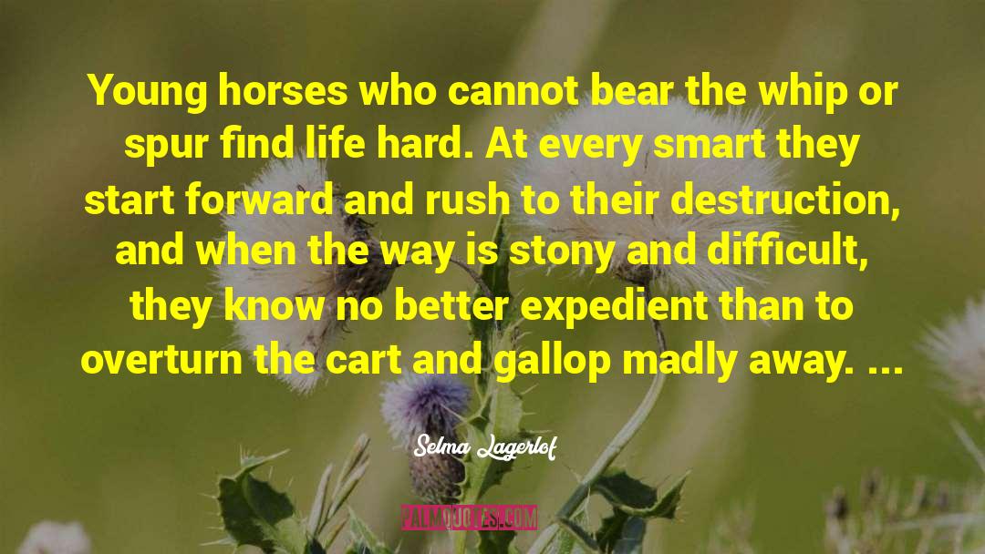 Selma Lagerlof Quotes: Young horses who cannot bear