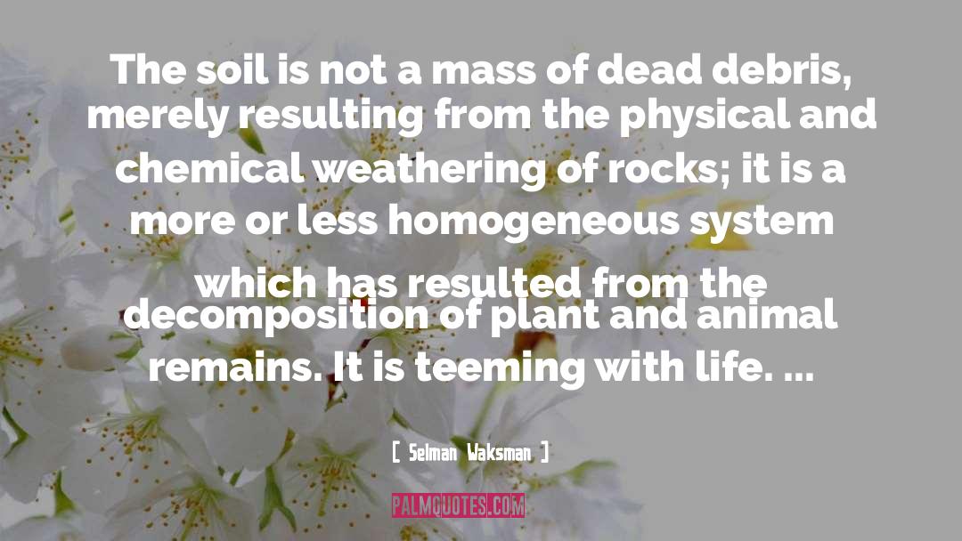 Selman Waksman Quotes: The soil is not a