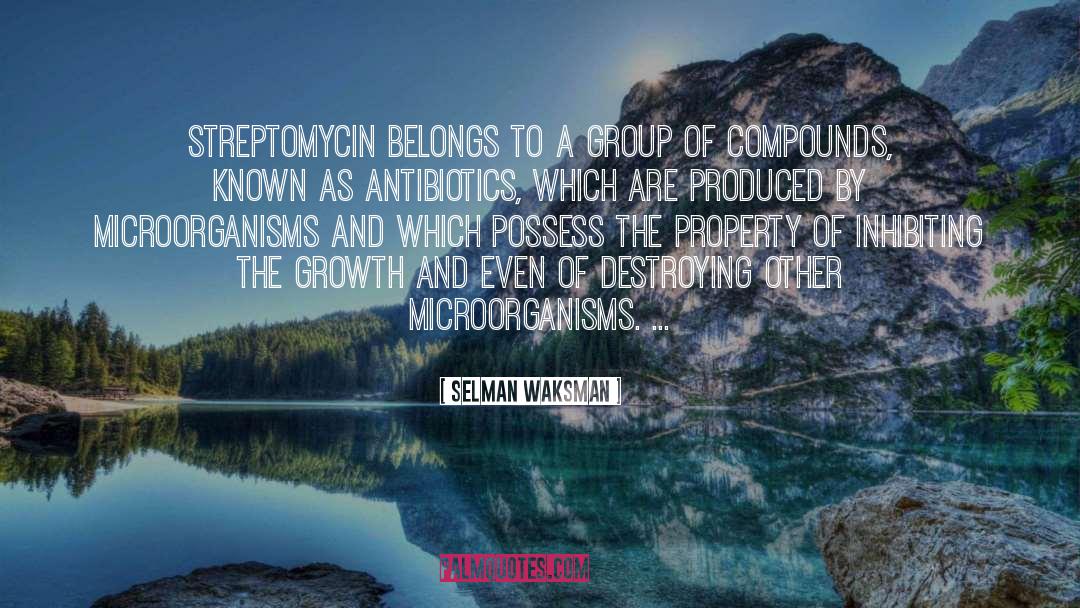 Selman Waksman Quotes: Streptomycin belongs to a group