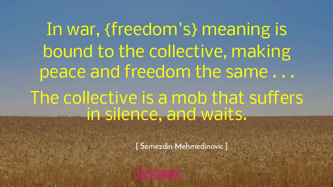 Semezdin Mehmedinovic Quotes: In war, {freedom's} meaning is