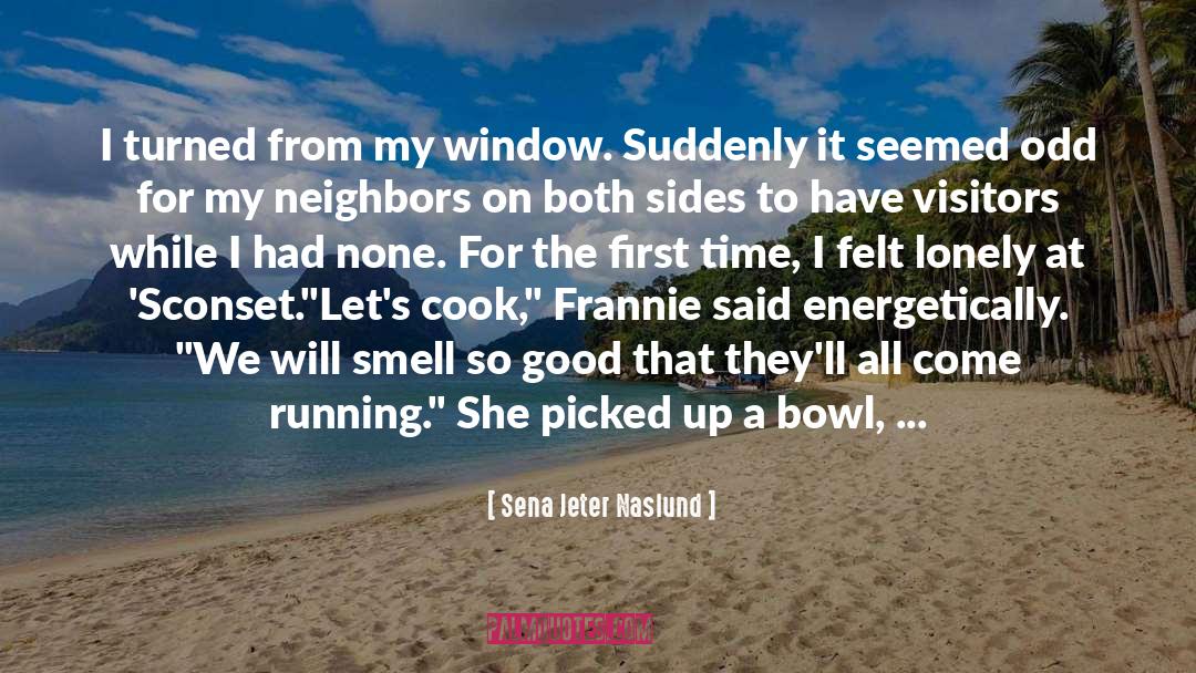 Sena Jeter Naslund Quotes: I turned from my window.