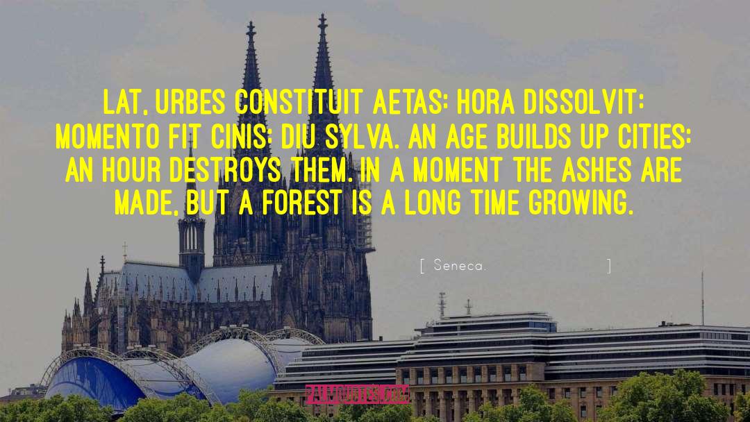 Seneca. Quotes: Lat, urbes constituit aetas: hora