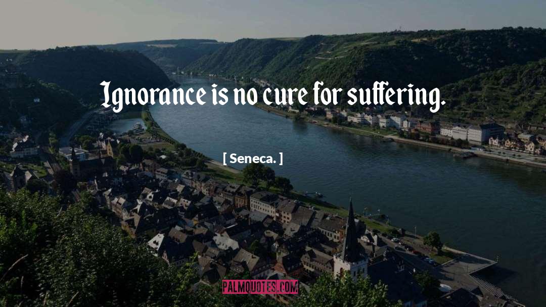 Seneca. Quotes: Ignorance is no cure for