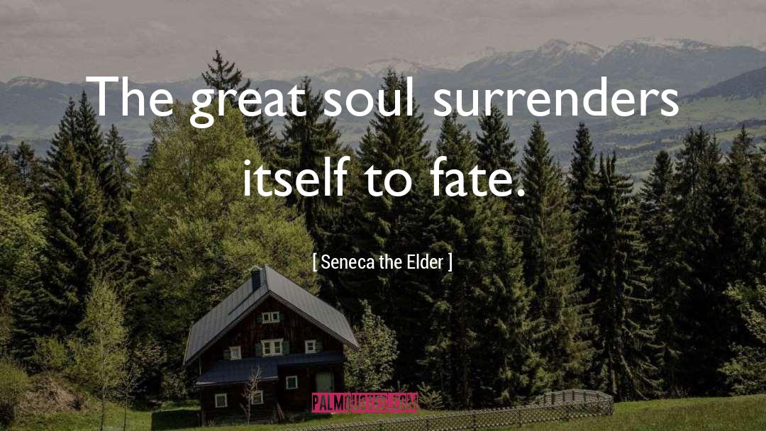Seneca The Elder Quotes: The great soul surrenders itself