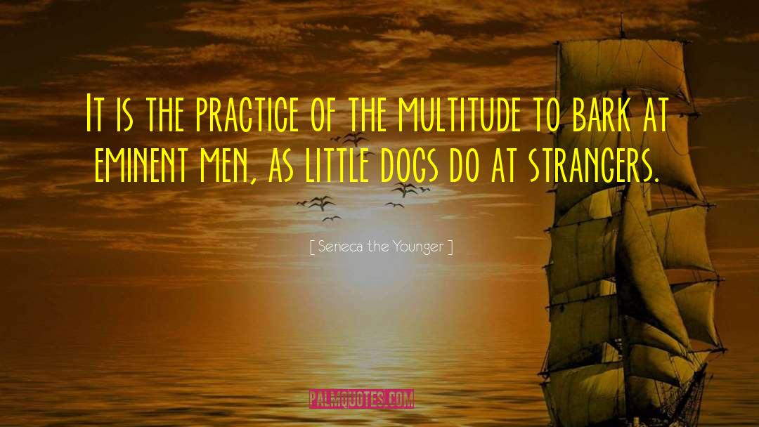 Seneca The Younger Quotes: It is the practice of