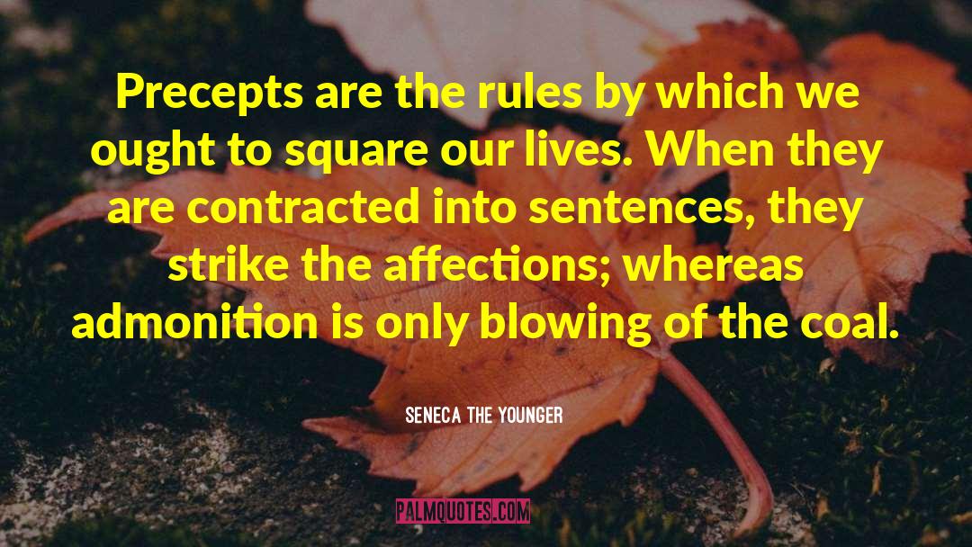 Seneca The Younger Quotes: Precepts are the rules by