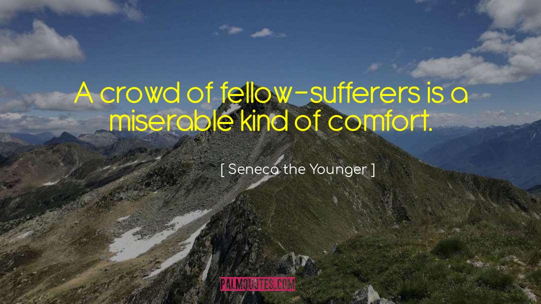 Seneca The Younger Quotes: A crowd of fellow-sufferers is