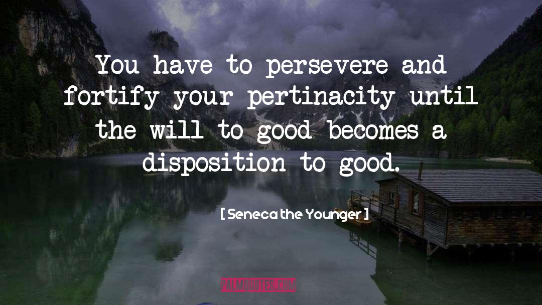 Seneca The Younger Quotes: You have to persevere and