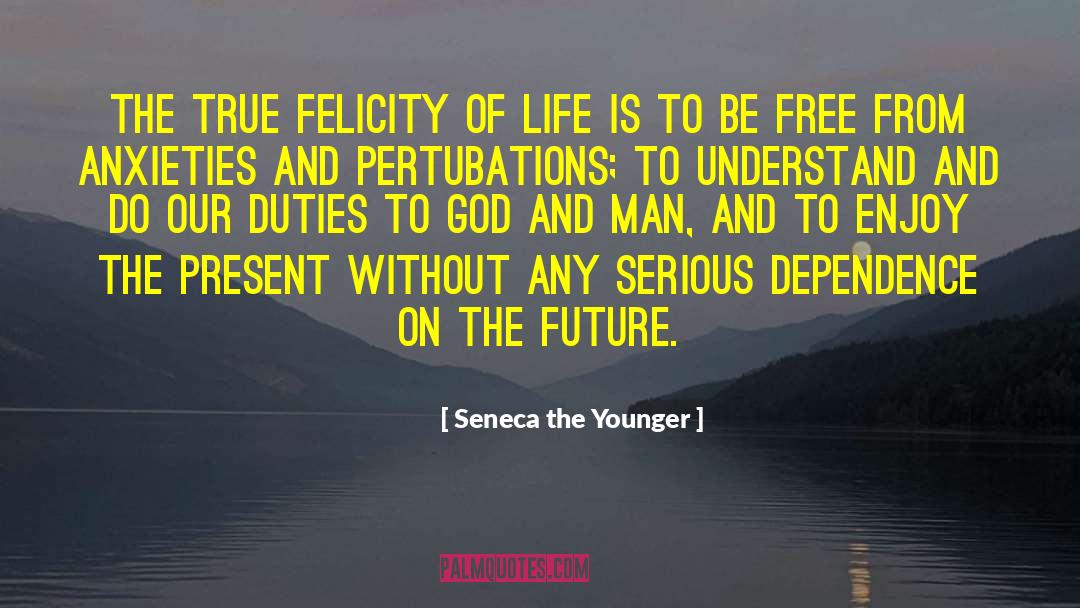 Seneca The Younger Quotes: The true felicity of life