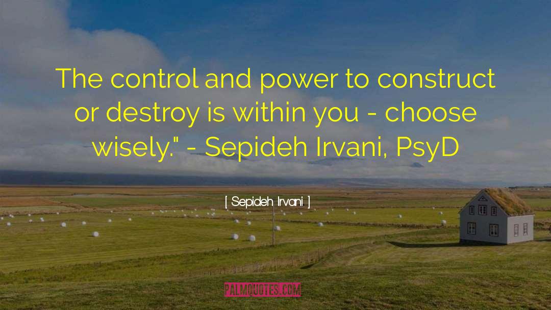 Sepideh Irvani Quotes: The control and power to