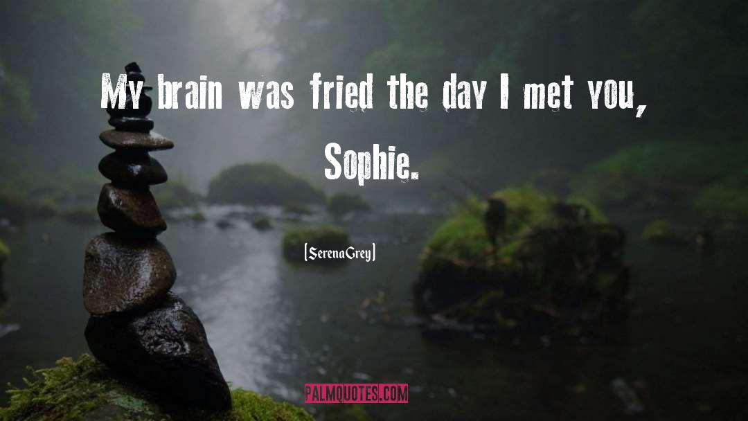 Serena Grey Quotes: My brain was fried the